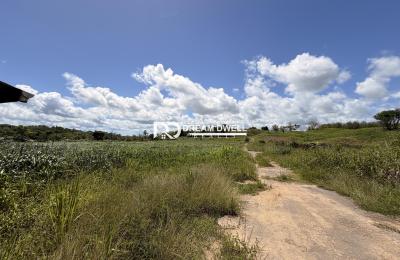 Penal- Premium  Farm & Agricultural Investment Opportunity
