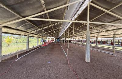 Penal- Premium  Farm & Agricultural Investment Opportunity