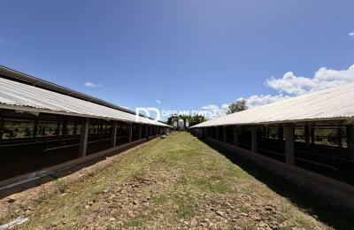 Penal- Premium  Farm & Agricultural Investment Opportunity