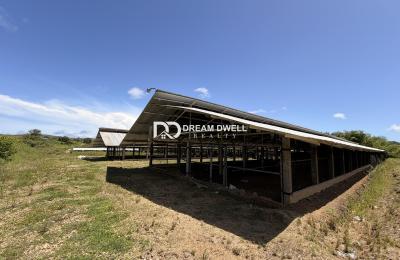Penal- Premium  Farm & Agricultural Investment Opportunity