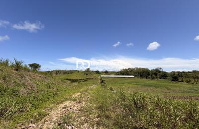 Penal- Premium  Farm & Agricultural Investment Opportunity