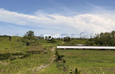 Penal- Premium  Farm & Agricultural Investment Opportunity