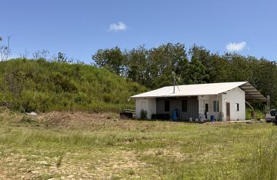 Penal- Premium  Farm & Agricultural Investment Opportunity